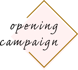 campaign
